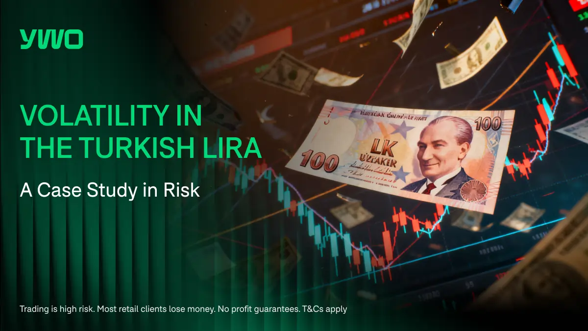 Volatility in the Turkish Lira: A Case Study in Risk